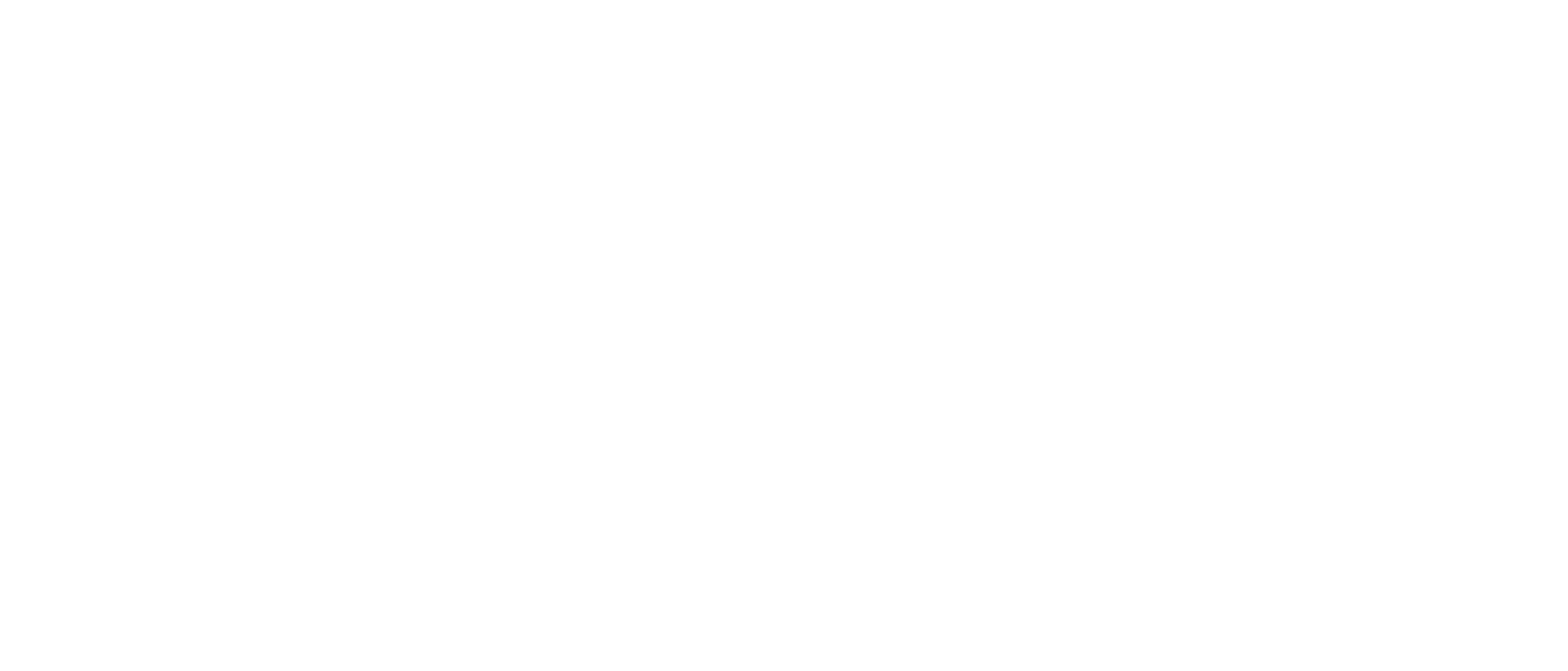 NeXL logo white